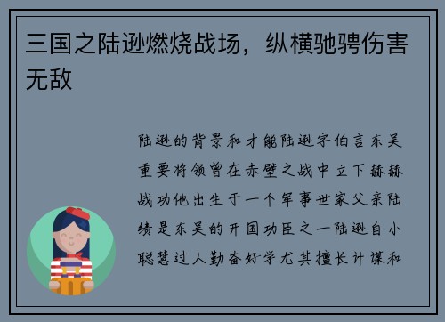 三国之陆逊燃烧战场，纵横驰骋伤害无敌